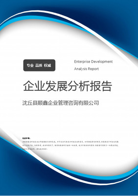 顺鑫集团咨询报告分析[课程作业]